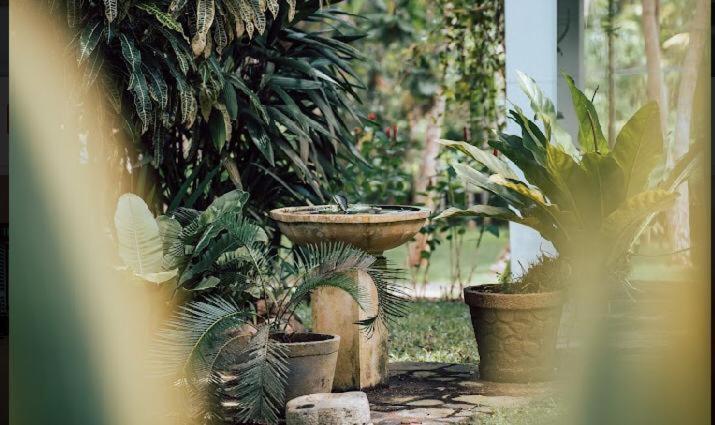 Amara Villa Ahangama Luaran gambar